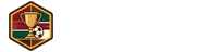 意甲直播